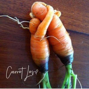 Carrot hugs Kelly and Erinn